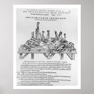 Poster Instruments pour les dissections, illustration de