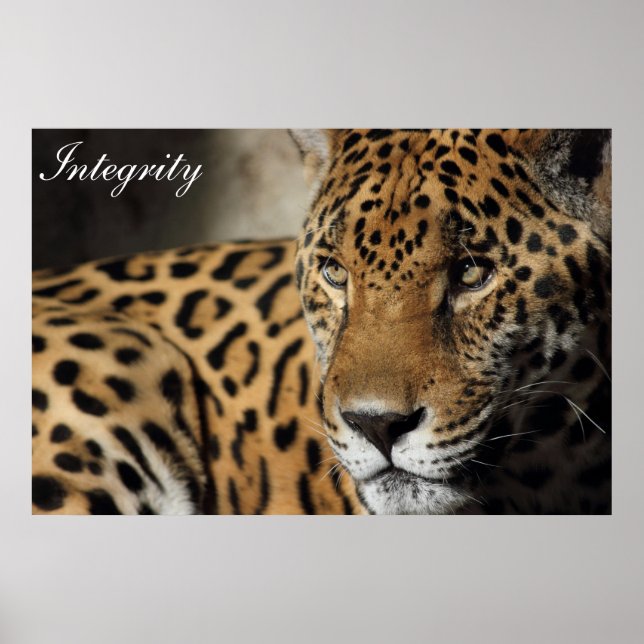 Poster intégrité (Devant)