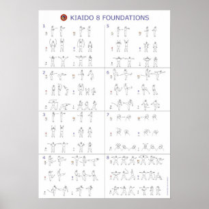 Poster International de Kiaido - les bases du parc 8 de
