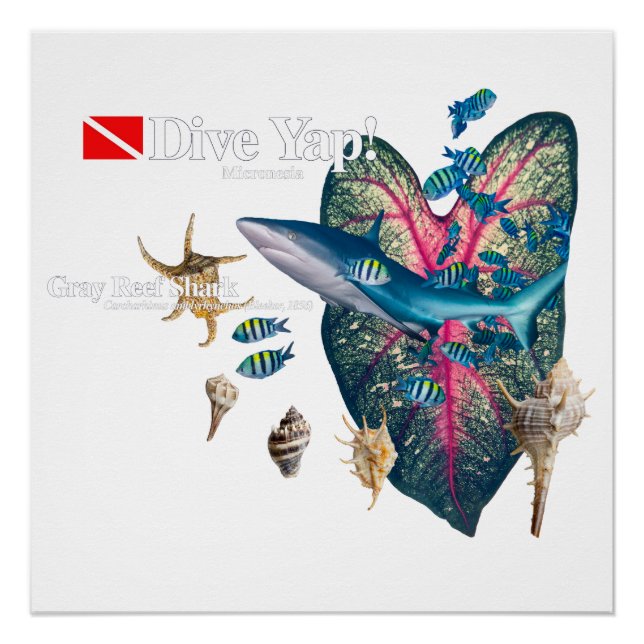 Poster Invitation tropicale (Devant)