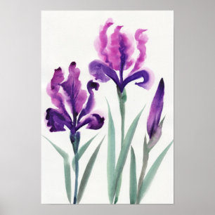 Poster Iris