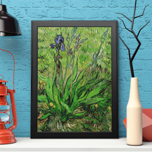 Poster Iris de Vincent van Gogh, Vintage Garden Flowers