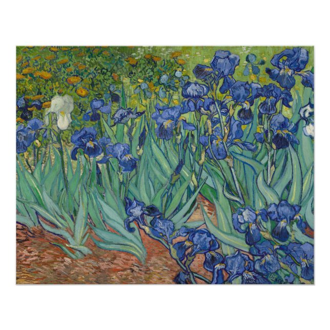 Poster Iris, Peinture à l'huile de fleurs, Vincent Van Go (Devant)