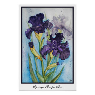 Poster Iris Violet du Printemps