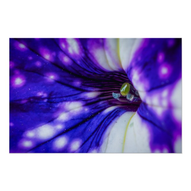 Poster Iris Violet Macro – Art Floral Rapproché Vibrant (Devant)