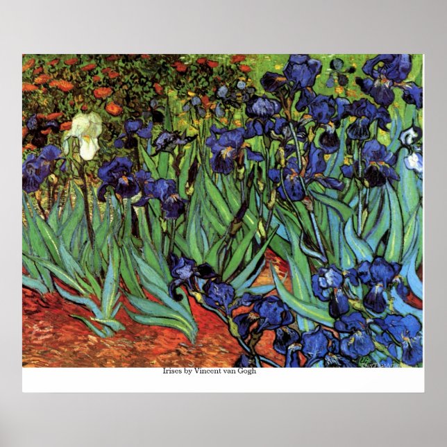 Poster Irises by Vincent van Gogh (Devant)
