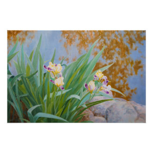 Poster Irises jaunes et pourpres avec lumière dorée