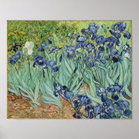 Irises - Van Gogh Imprimer