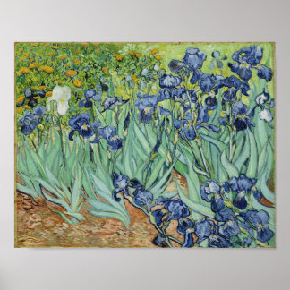 Poster Irises - Van Gogh Imprimer