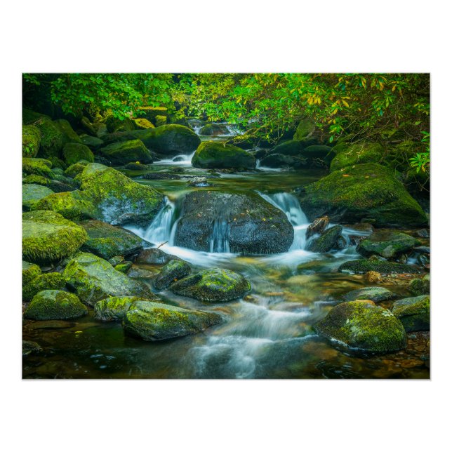 Poster Irish Forest Stream – Emerald Woodland Photo Print (Devant)