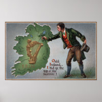 Irishman propose des Shamrocks à l'Irlande