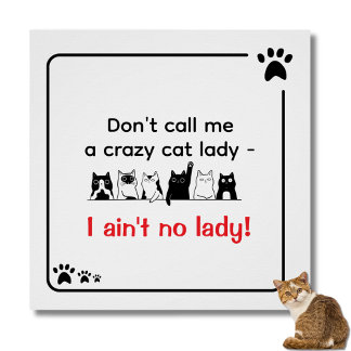 Poster Irreverent Humor Crazy Cat Lady