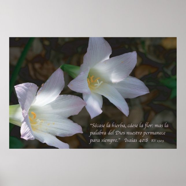 Poster Isaias 40:8 con Lirios (Devant)