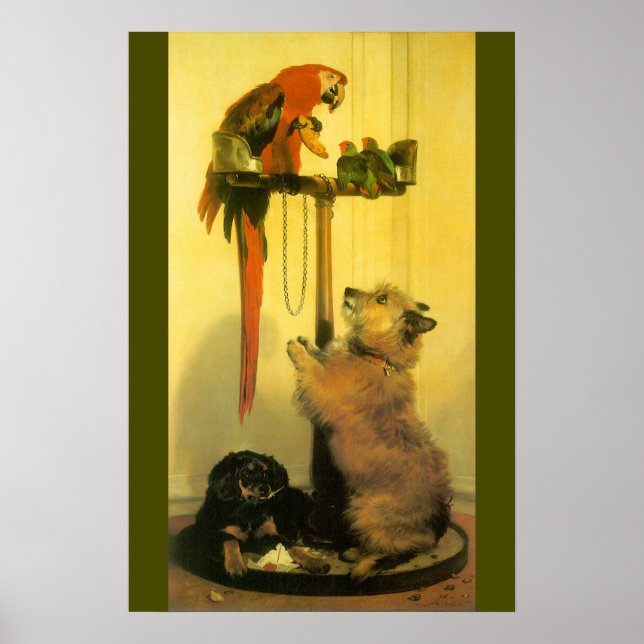 Poster Islay, Tilco, un Macaw et des Inséparables de Land (Devant)