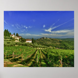 Poster Italie, Toscane, Greve. Les vignobles de Castello