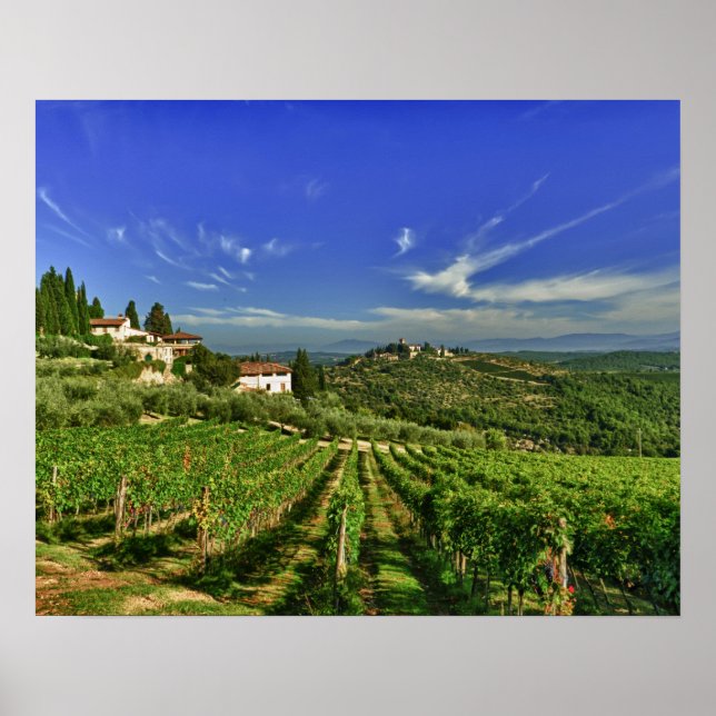 Poster Italie, Toscane, Greve. Les vignobles de Castello (Devant)