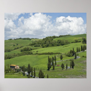 Poster Italie, Toscane. La Foce. Une route courbe serpent