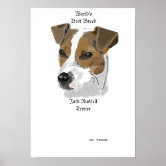 Poster Jack Russell, la meilleure race au monde