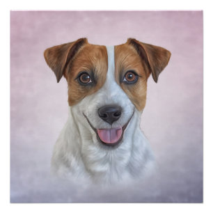 Poster Jack Russell Terrier