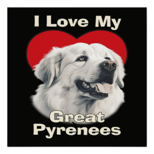 Poster J'adore mon chien des Pyrénées