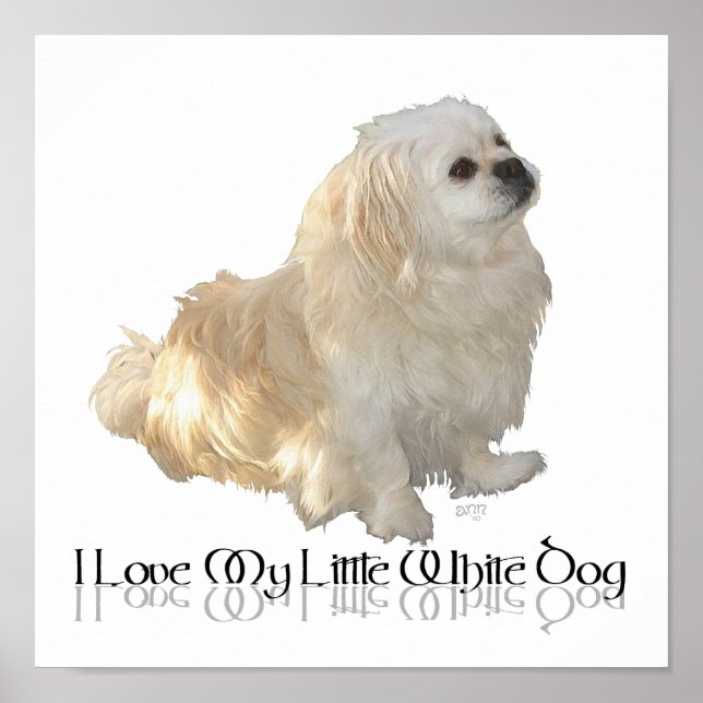 Poster J'adore mon petit chien blanc - Épagneul Pékinois  (Devant)