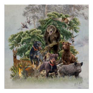 Poster Jagdterrier allemand, Toujours prêt à chasser