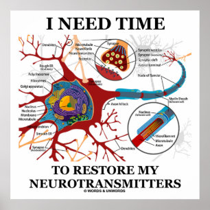Poster J'Ai Besoin De Temps Pour Restaurer Mes Neurotrans