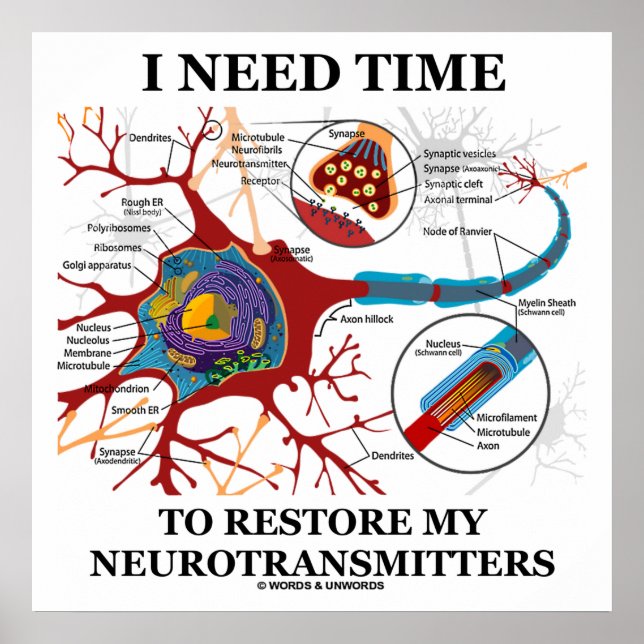 Poster J'Ai Besoin De Temps Pour Restaurer Mes Neurotrans (Devant)