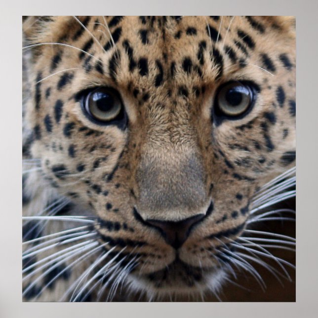 Poster J'Ai Besoin De Toi... (Devant)