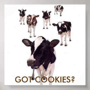 POSTER J'AI DES COOKIES ?