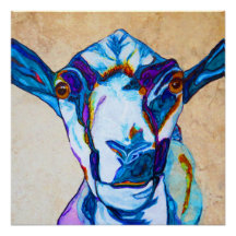 J'ai votre chèvre !