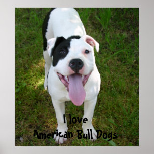 Poster J'aime l'affiche de chiens de Taureau d'Américain