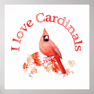 Poster J'aime les cardinaux
