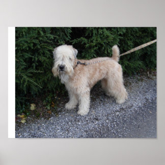 Poster Jake at the Biltmore