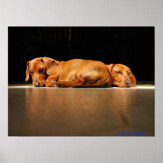 Poster Jake & Dillon