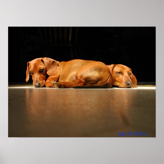 Poster Jake & Dillon (Devant)