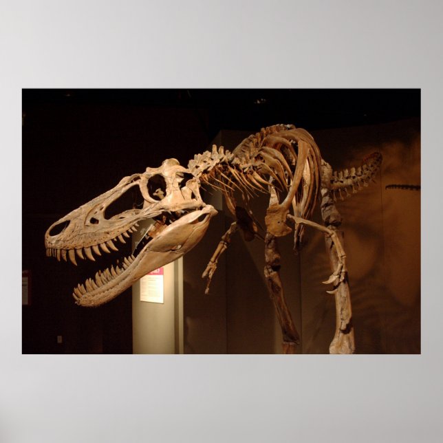 Poster Jane - Vue #6 (Devant)