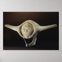 Janus Head, du cap Dorset