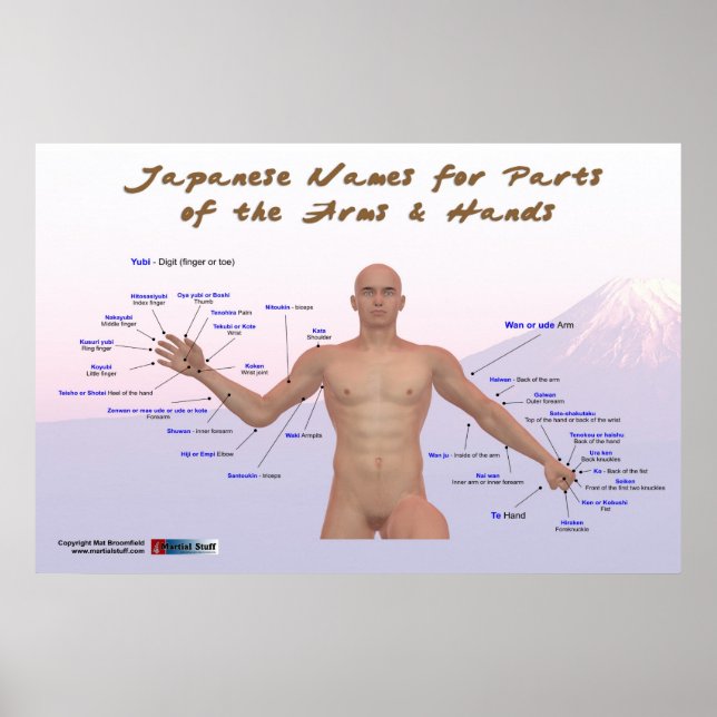 Poster Japanese names for parts of the arms & hands (Devant)