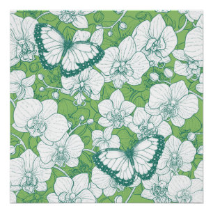 Poster Jardin botanique d'orchidées avec papillons en ver