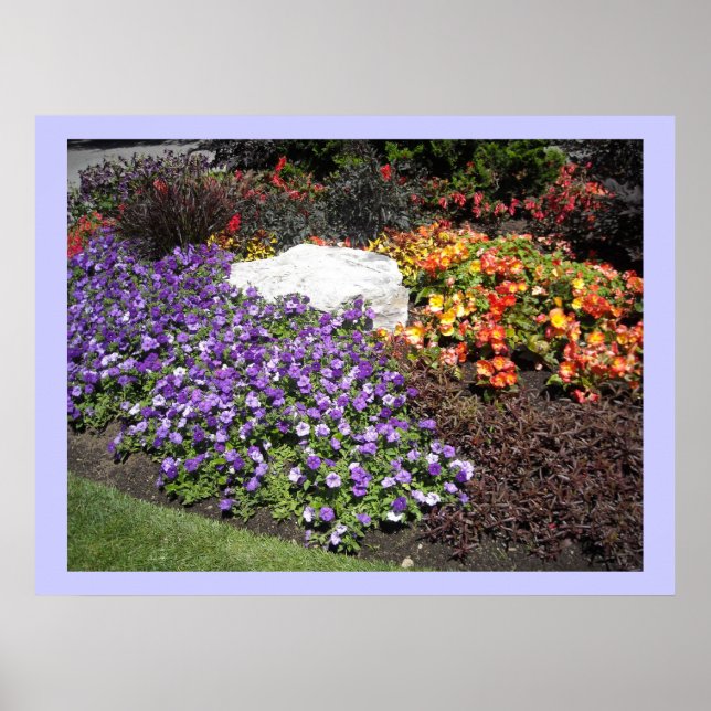 Poster Jardin de fleurs élégant (Devant)