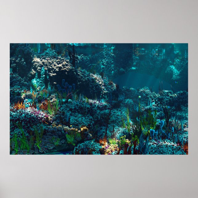 Poster Jardin de Nemo (Devant)