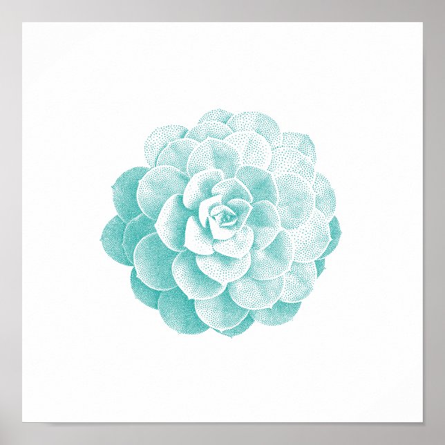 Poster Jardin de printemps Plante Succulent vintage (Devant)