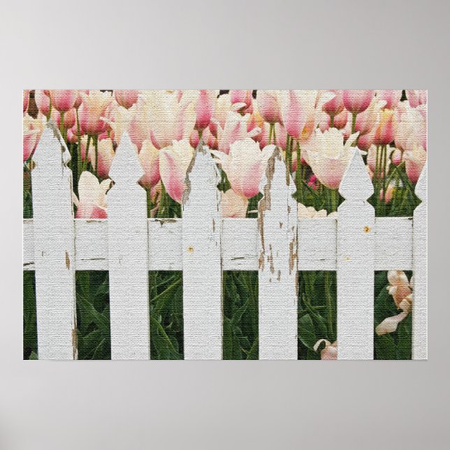 Poster Jardin de tulipes roses hollandaises (Devant)