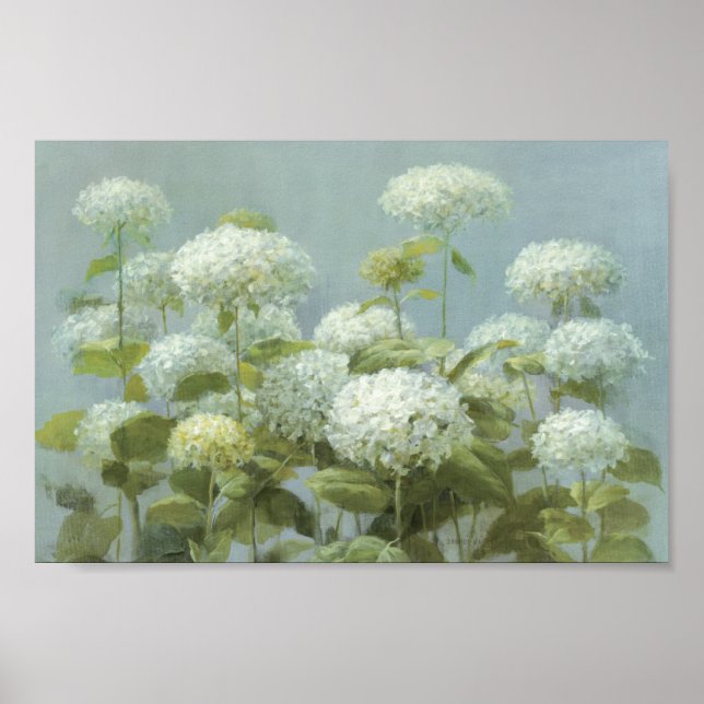 Poster Jardin d'Hydrangea blanc (Devant)