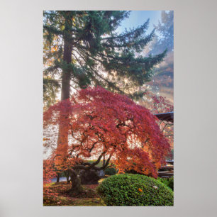 Poster Jardin Japonais En Automne À Portland, Oregon 6
