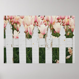 Poster Jardin néerlandais de Tulipe rose