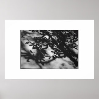 Poster Jardin secret