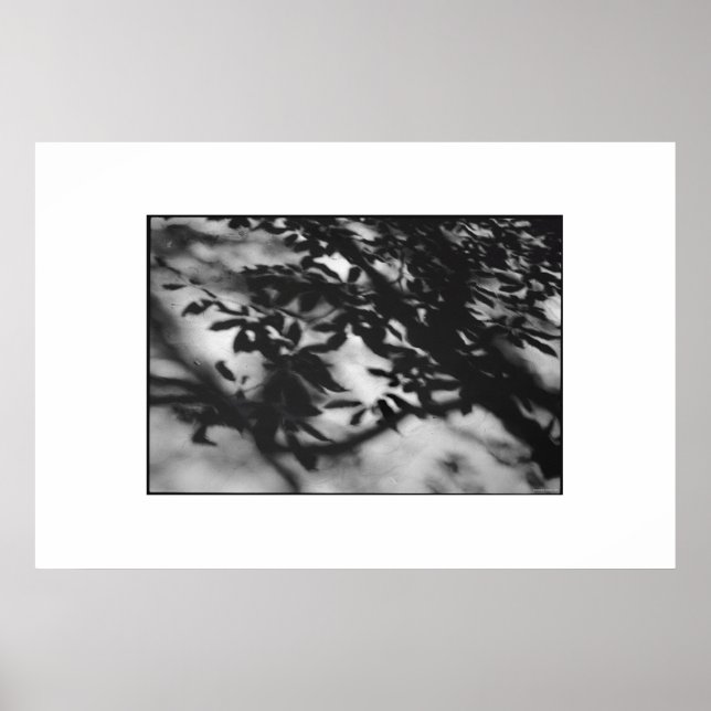 Poster Jardin secret (Devant)