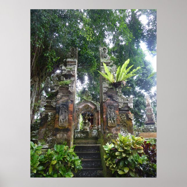 POSTER - Jardin tropical de Bali (Devant)